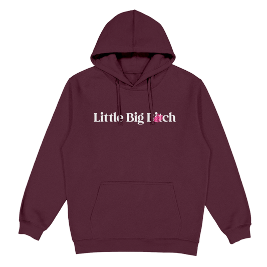 Maroon hoodie with 'Little Big Lie' text on a white background